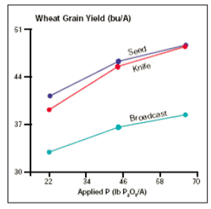 broadcast and band P effect on wheat yields and profitability