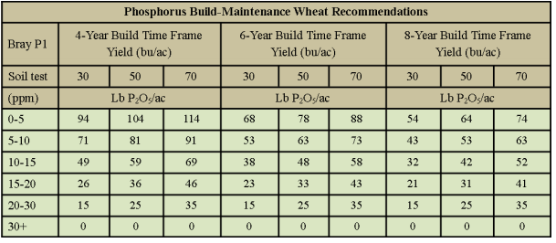 wheat phosporus guidelines