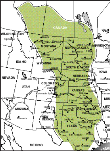The Great Plains region.