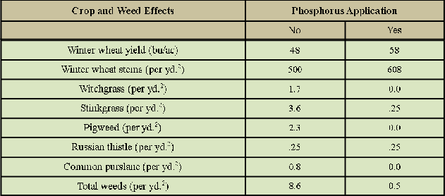 influence of phosphorus on winter wheat yield