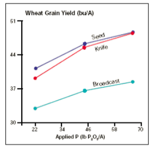 broadcast and band P effect on wheat yields and profitability broadcast and band P effect on wheat yields and profitability