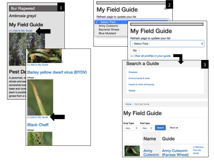 myGuides myGuides