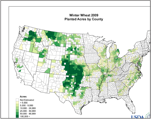 Wheat Production in the United States.