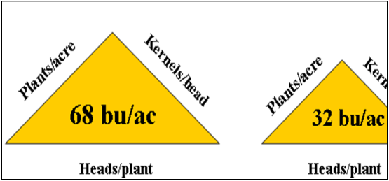 yield components