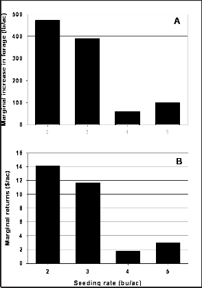 Marginal increases (i.e., increase for adding one additional unit) in wheat forage yield (A) and marginal returns (B) for wheat seeding rates at Goodwell, OK in 2004.